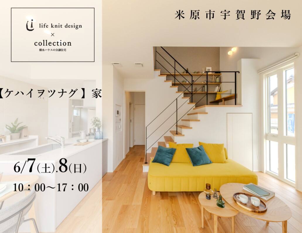 life knit design × collection（ライフニットデザイン