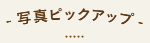 写真ピックアップ