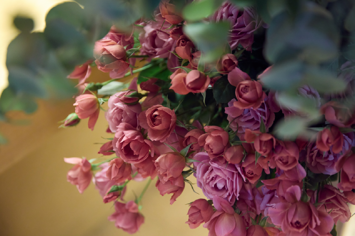 オーナー様感謝イベント2025イメージ