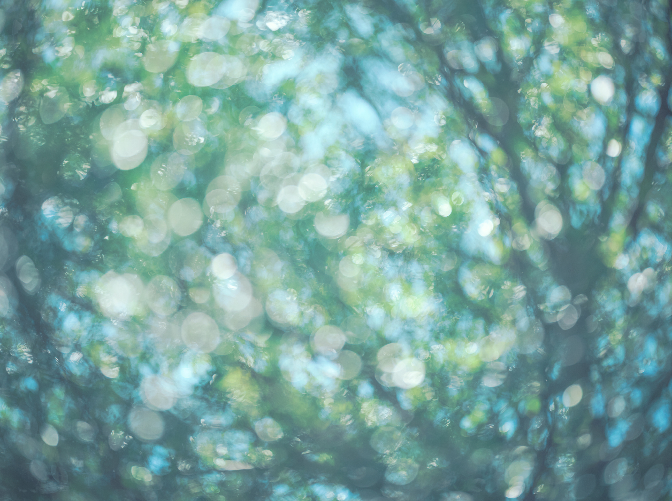 GM magazineイメージ