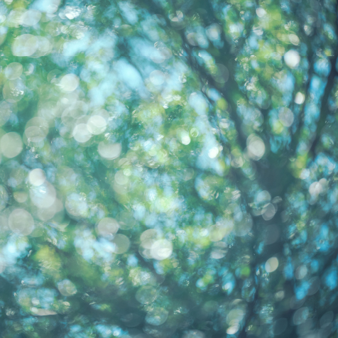 グランドメゾンイメージ