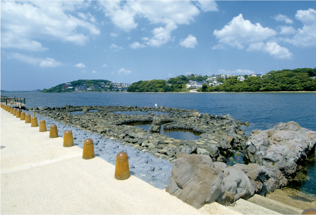 外周緑地にあるタイドプール（潮溜り）