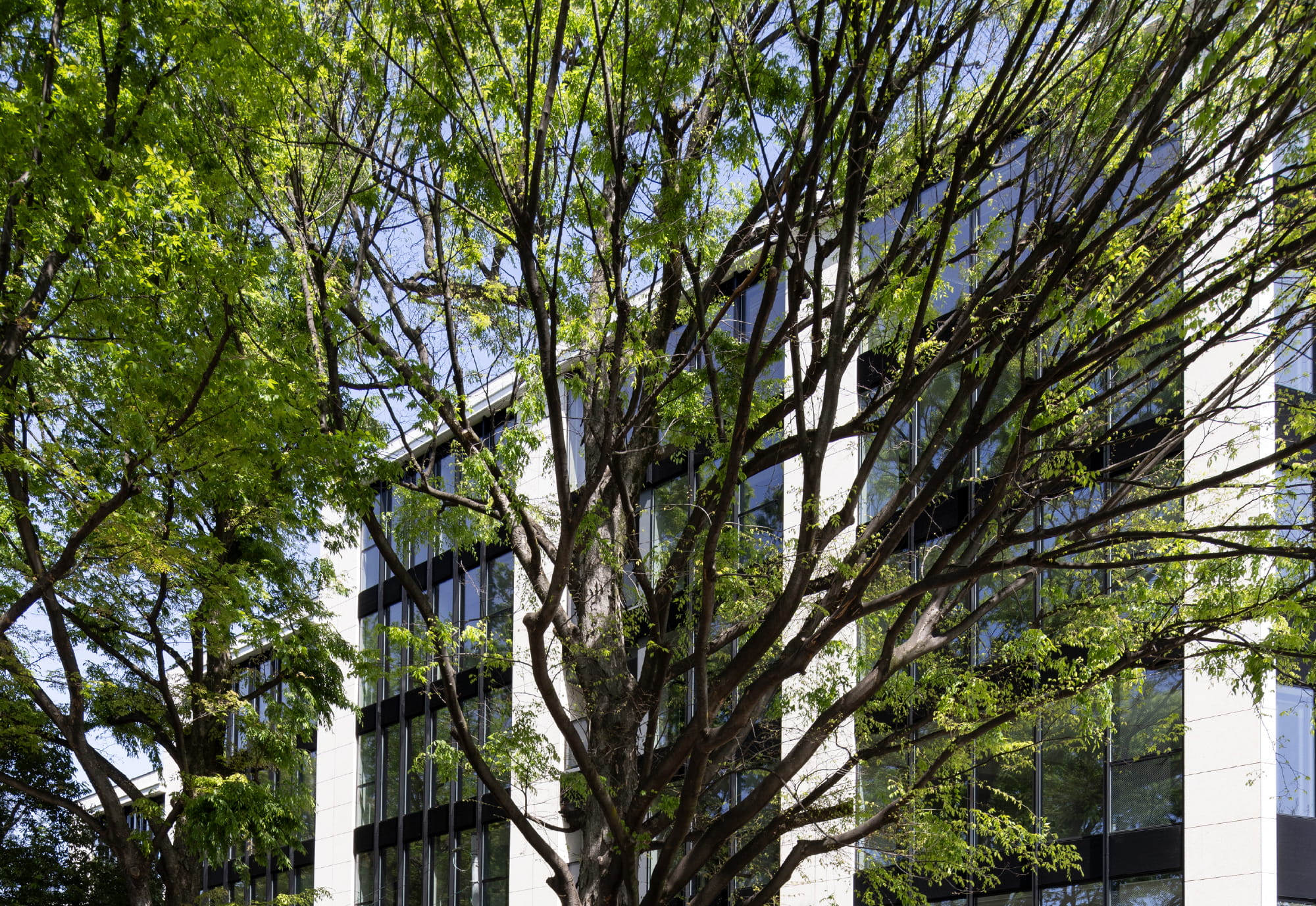 ガラス面イメージ