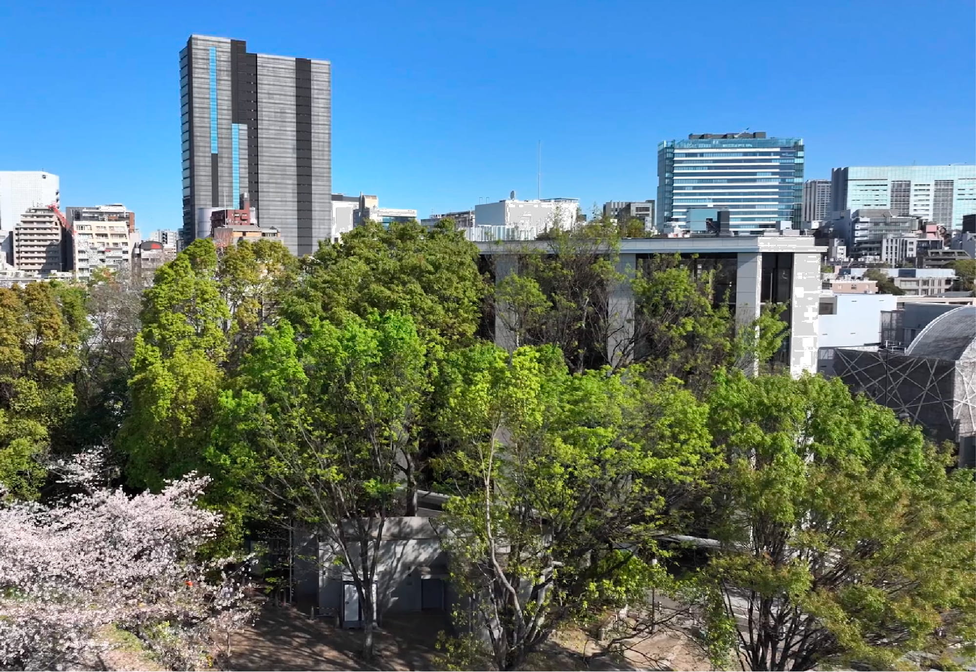 ガラス面イメージ