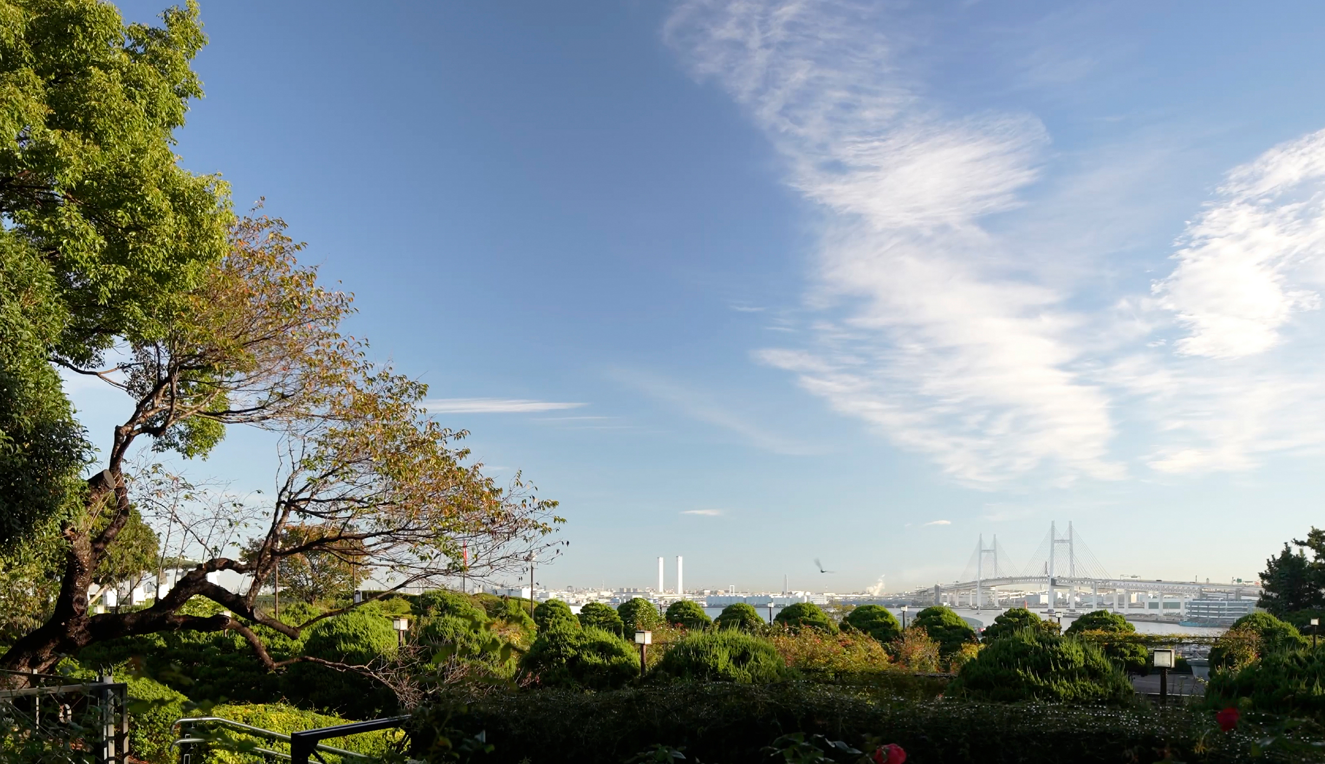 GRANDE MAISON The 山手 Projectイメージ