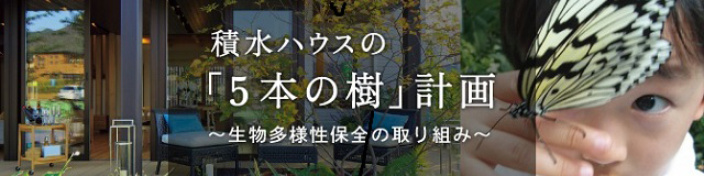 ５本の樹計画