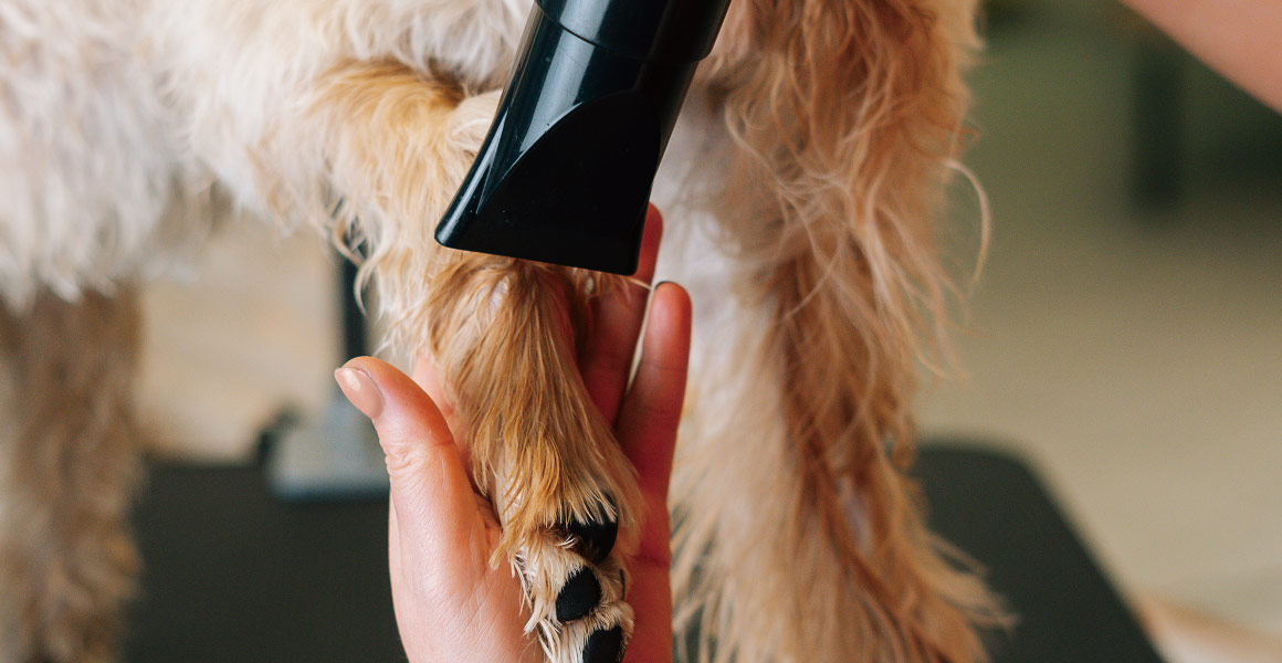 グルーミングスペースImage 画像