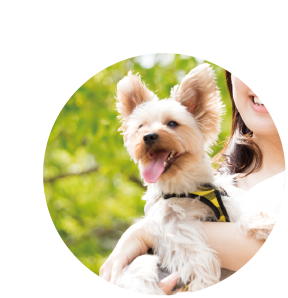 Dog Space 画像