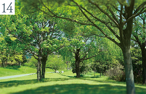 アイランドシティ中央公園 画像