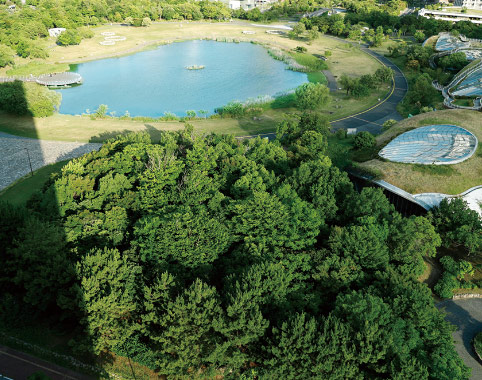 アイランドシティ中央公園 画像