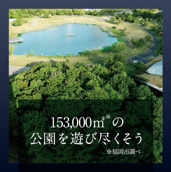 153,000㎡の公園を遊び尽くそう