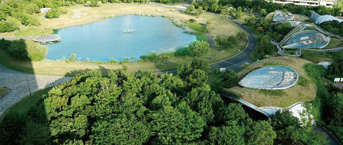 アイランドシティ中央公園