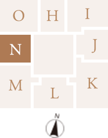Ntype