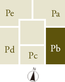 Pbtype