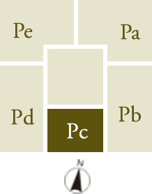 Pctype