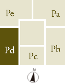 Pdtype