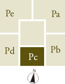 Pctype