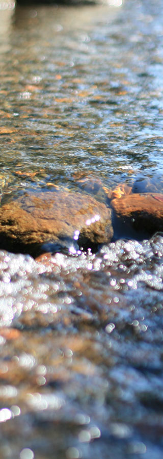 image 画像