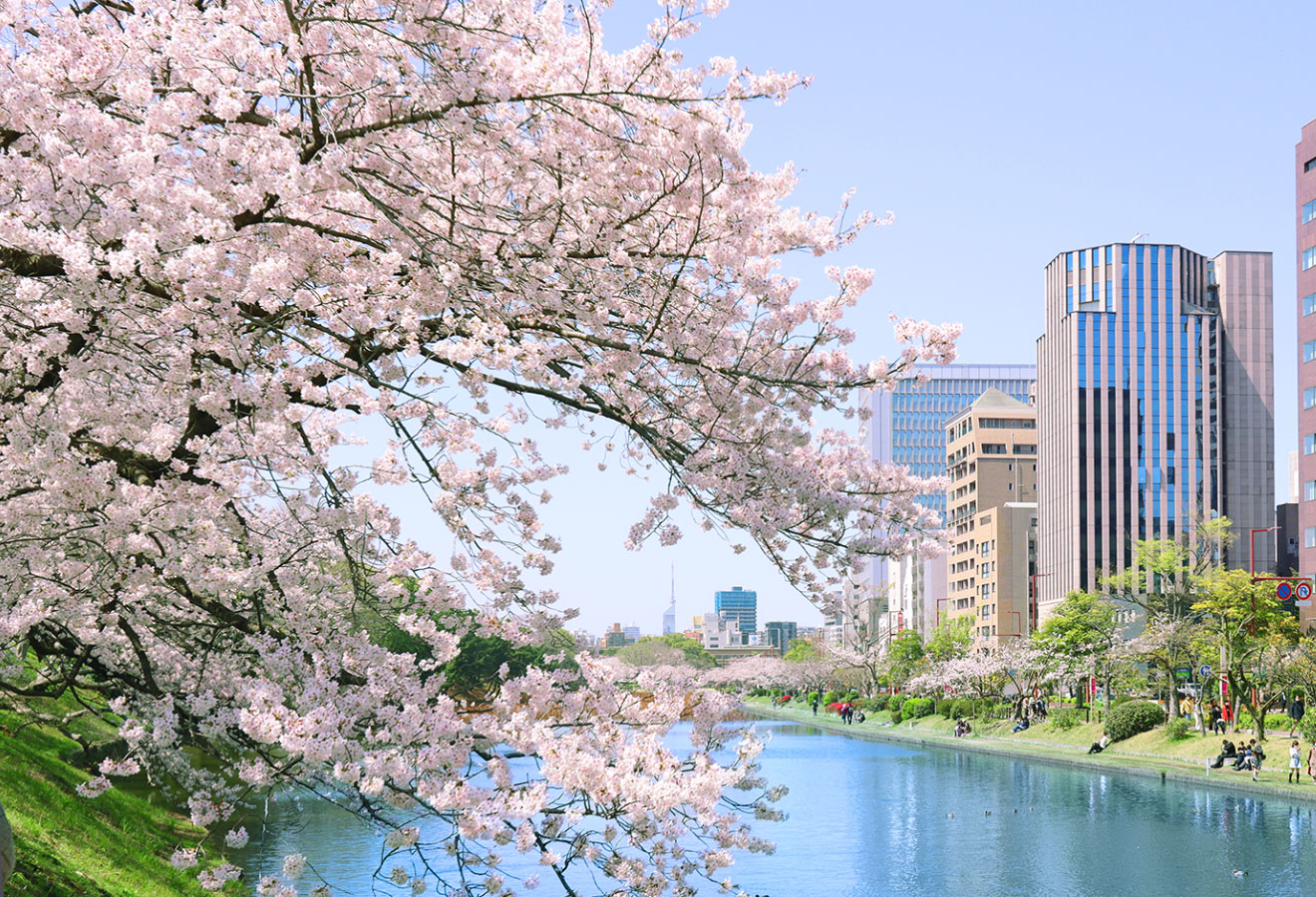舞鶴公園 画像