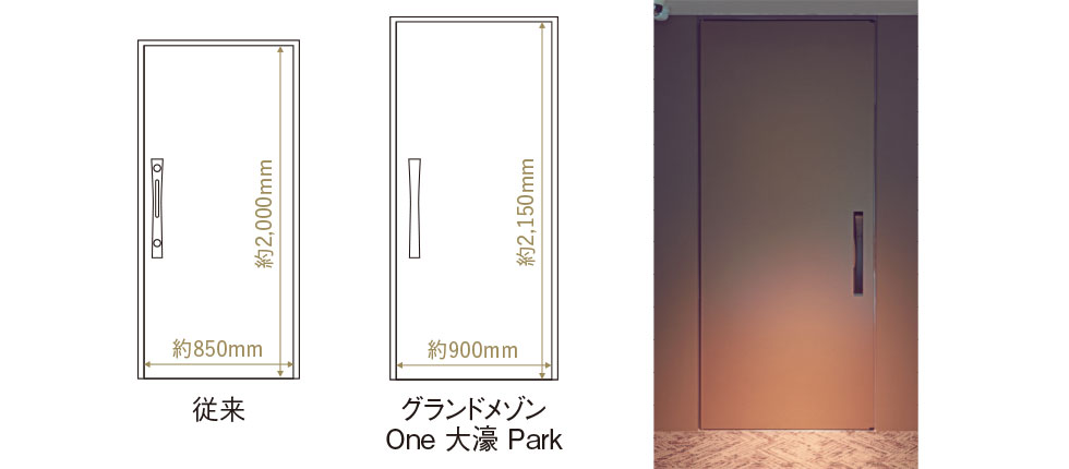 ゆとり開口幅の積水ハウスオリジナル玄関ドア 画像