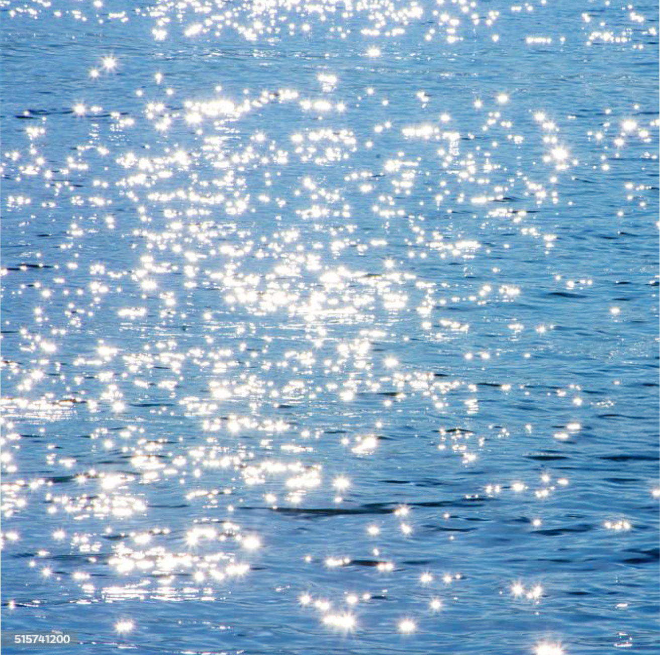 OCEAN VIEW　画像