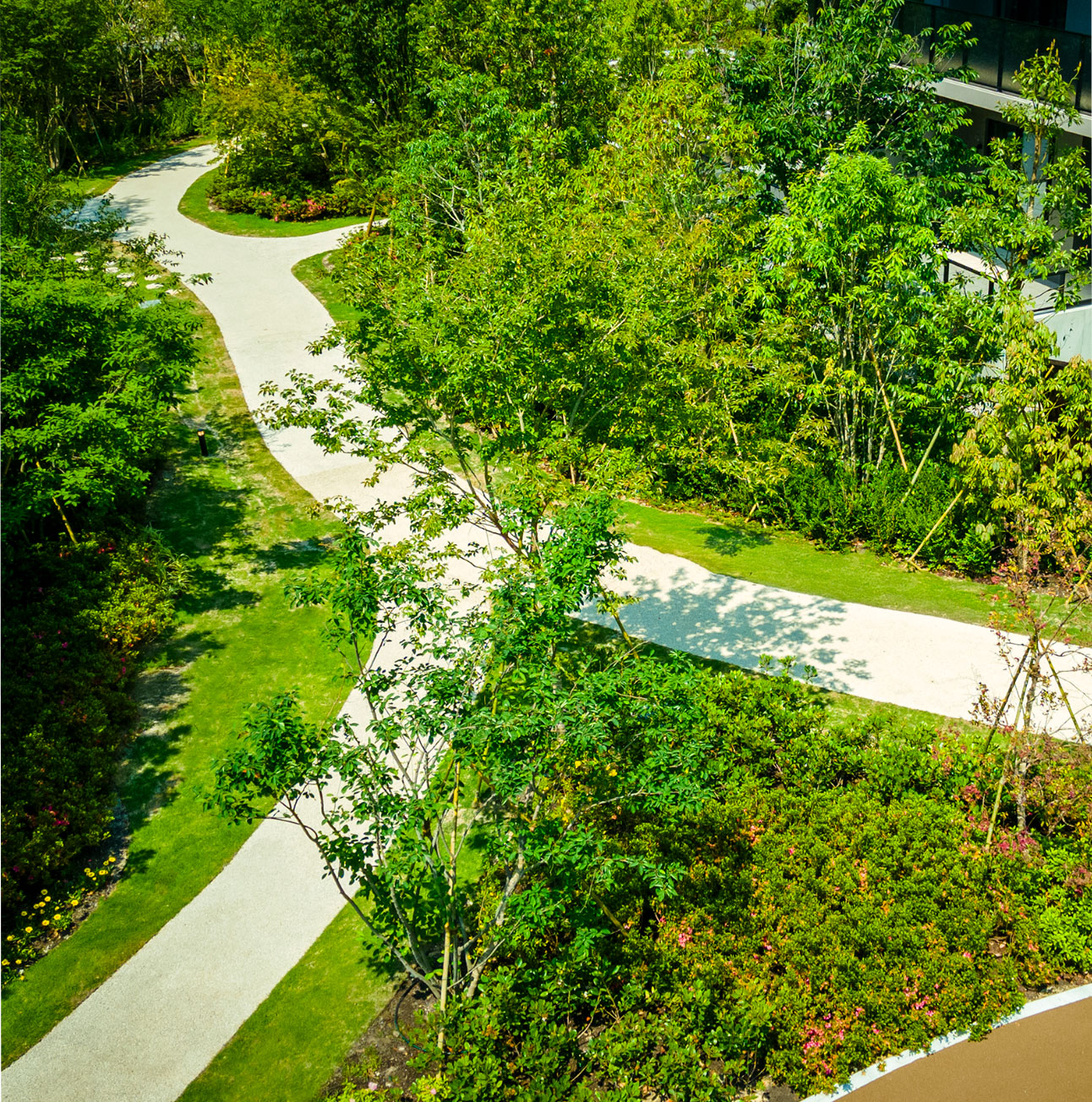 GREEN SPACE　画像