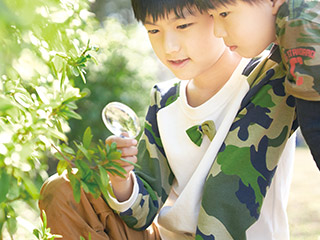 身近な自然環境が子どもの感性を育む。