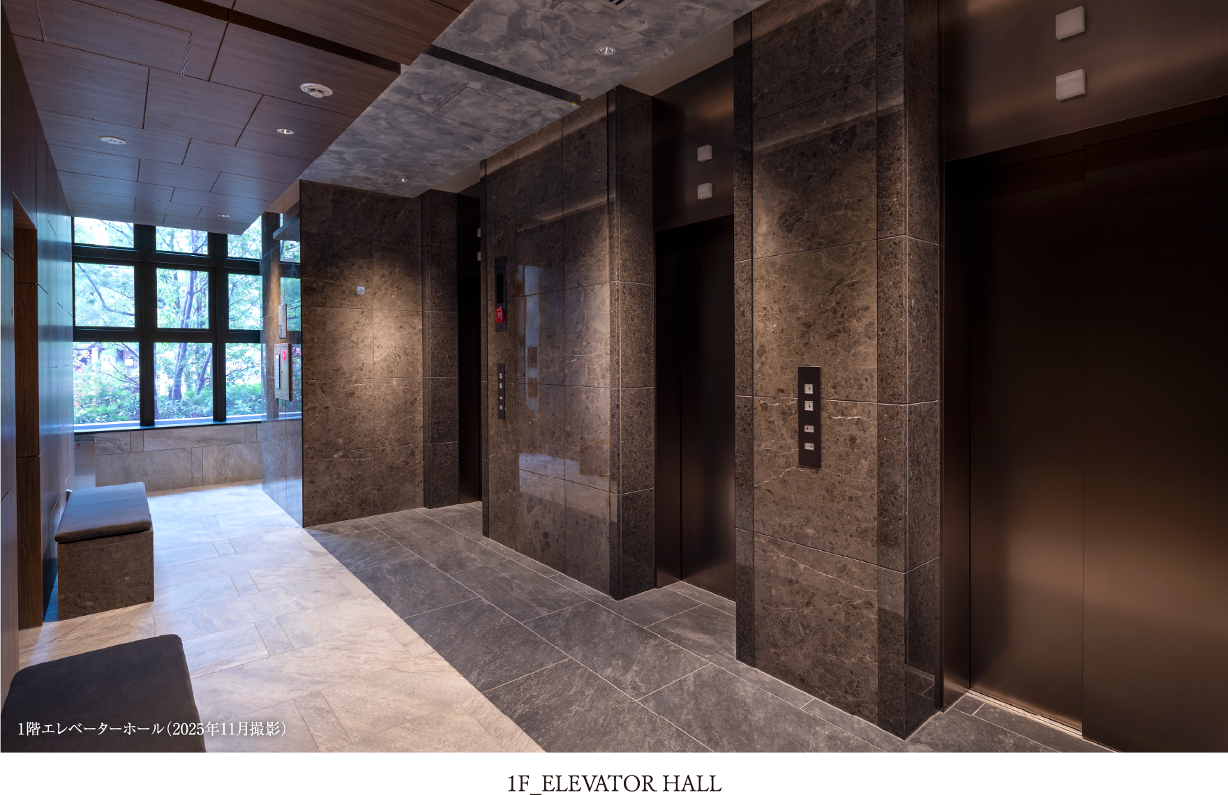 D エレベーターホール（1階）（2025年11月撮影）