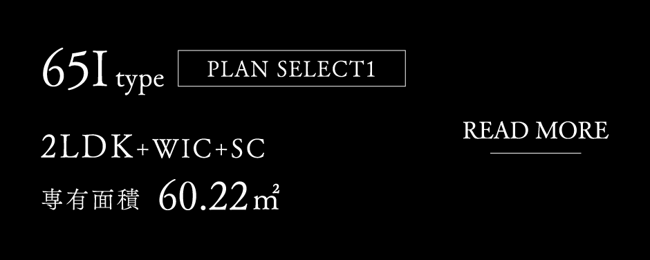 65Itype[PLAN SELECT 1]