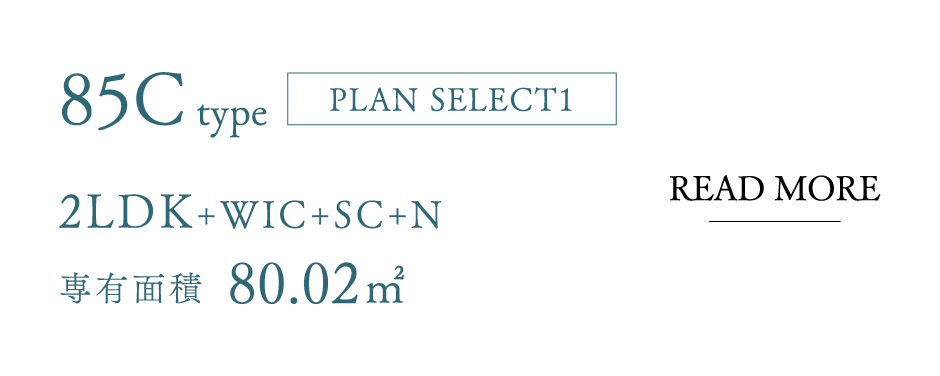 85Ctype[PLAN SELECT 1]