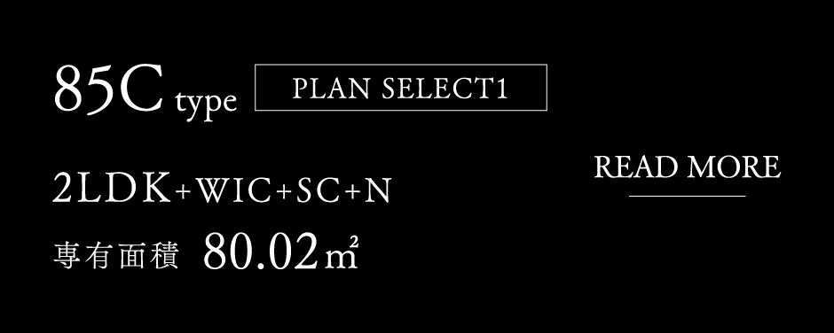 85Ctype[PLAN SELECT 1]