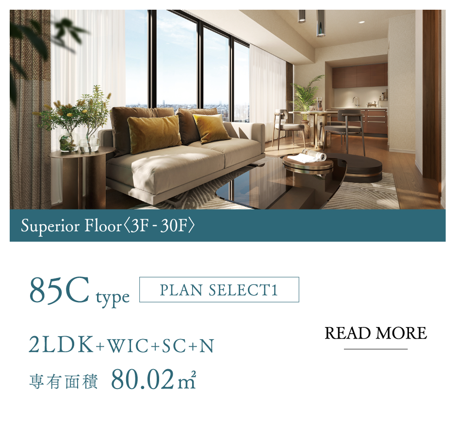 85Ctype[PLAN SELECT 1]