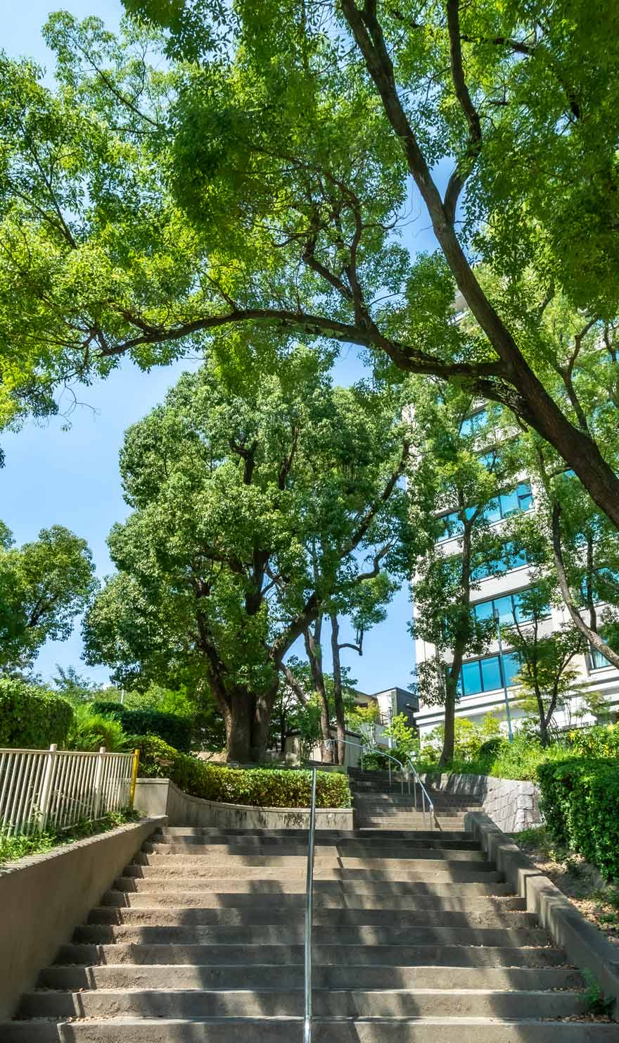 清水谷公園