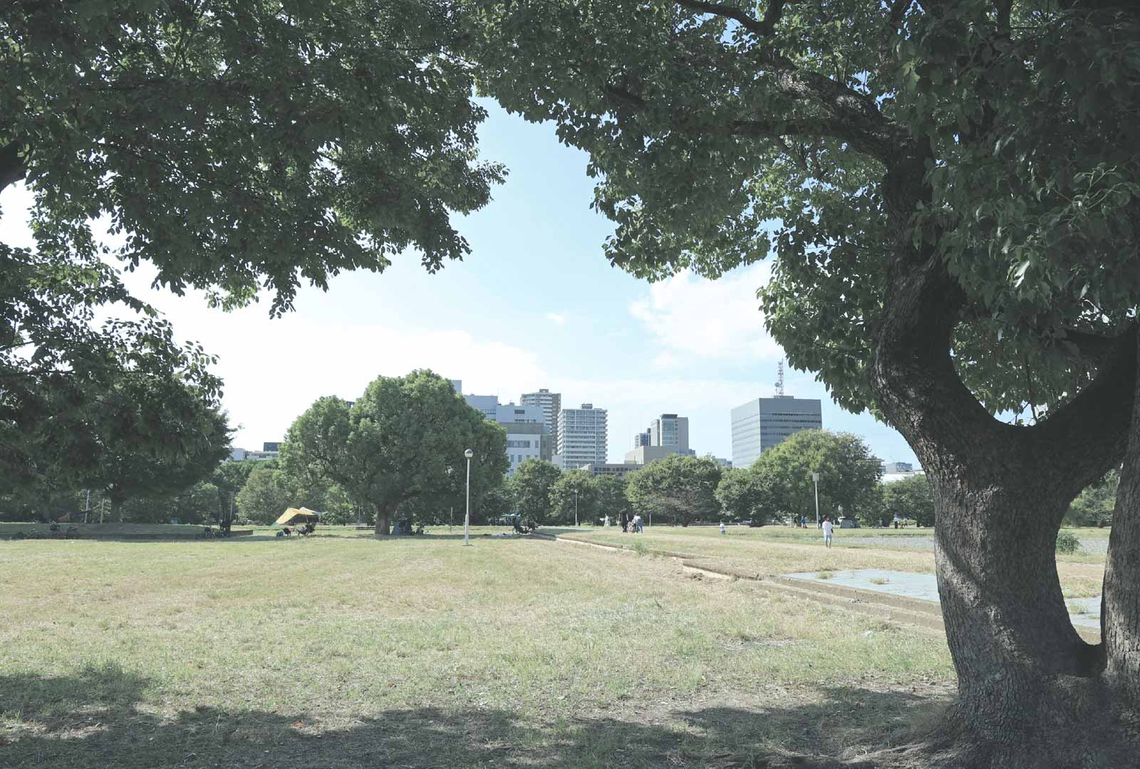 難波宮跡公園／徒歩11分（約820m）