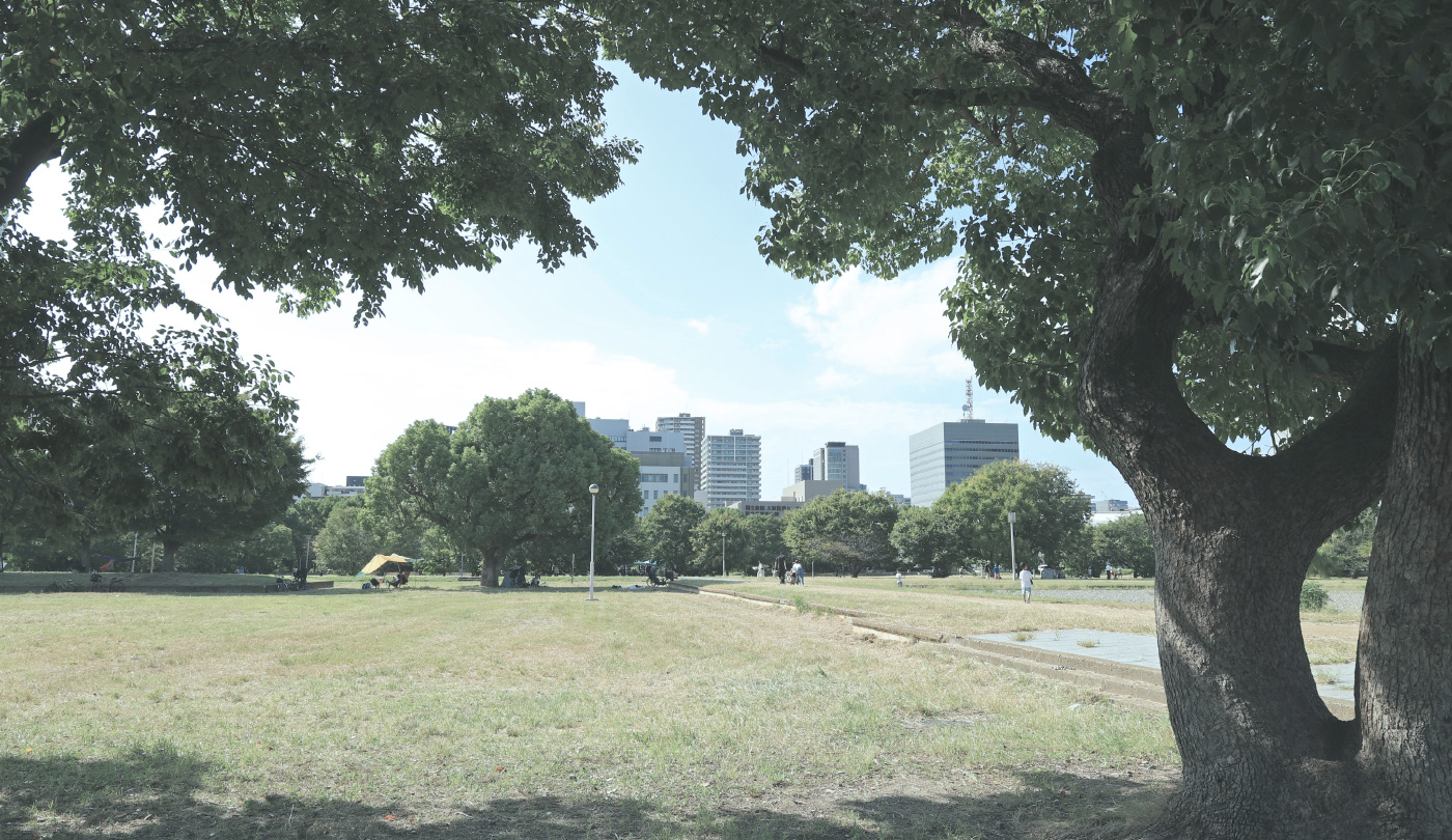 難波宮跡公園／徒歩11分（約820m）