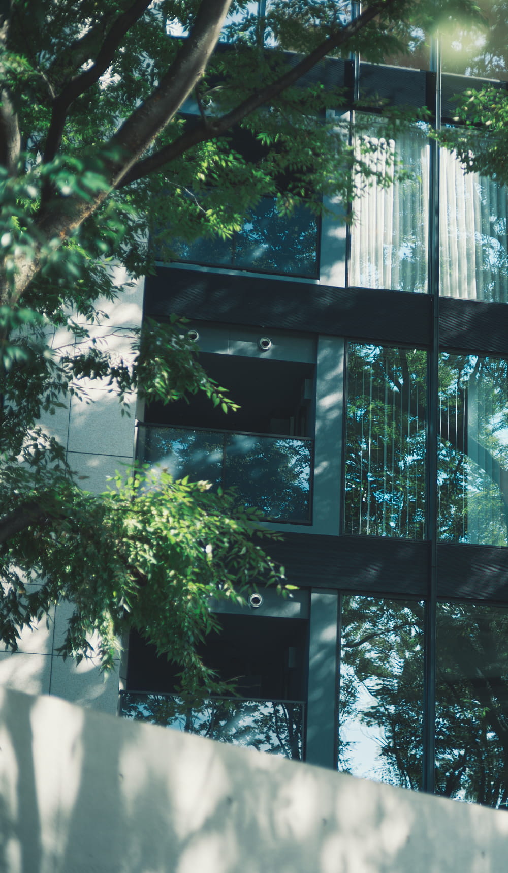 GRANDDE MAISONイメージ