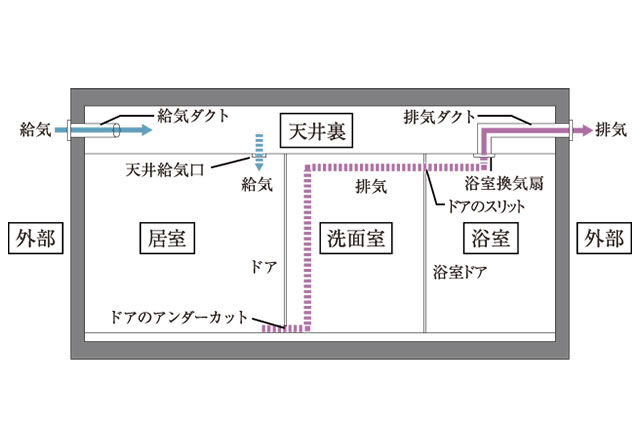 image photo