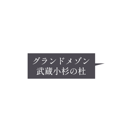 グランドメゾン武蔵小杉の杜