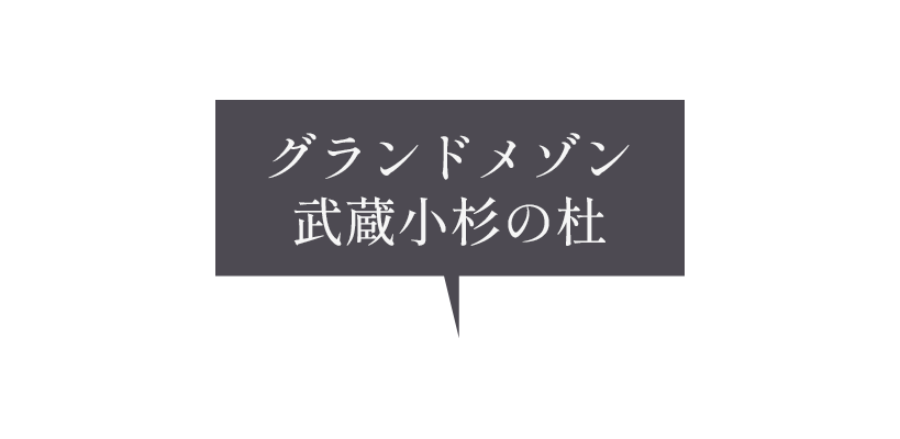 グランドメゾン武蔵小杉の杜