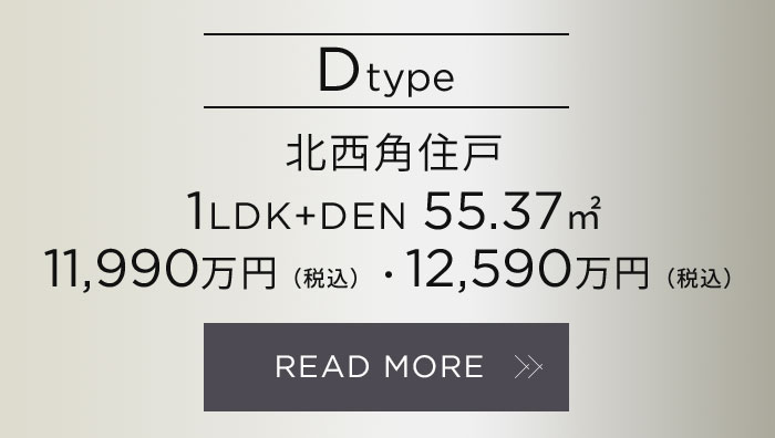 Ctype 先着順販売中