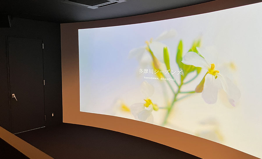 シアタールーム（2026年3月撮影）