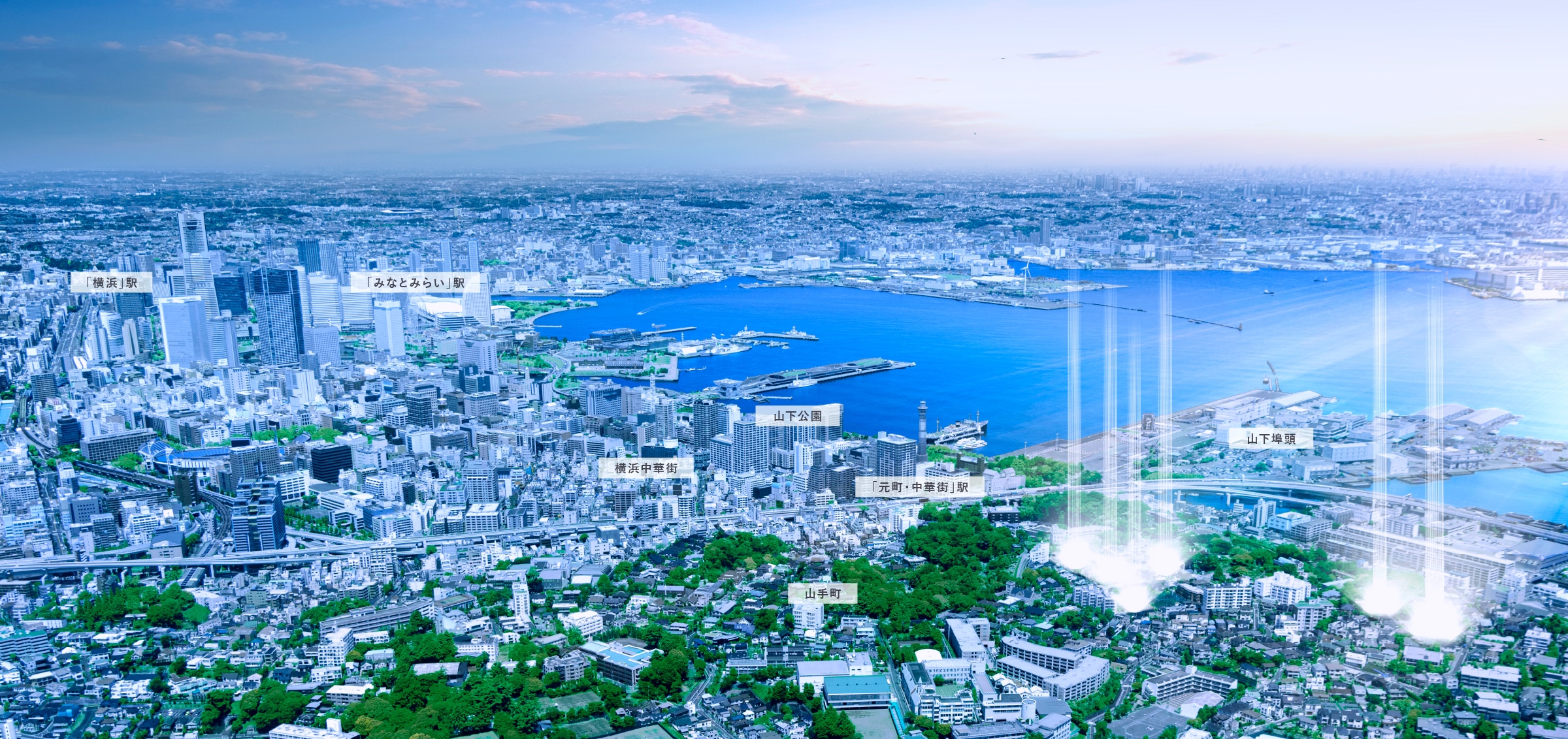 Bluff99 Garden(2024年7月撮影)