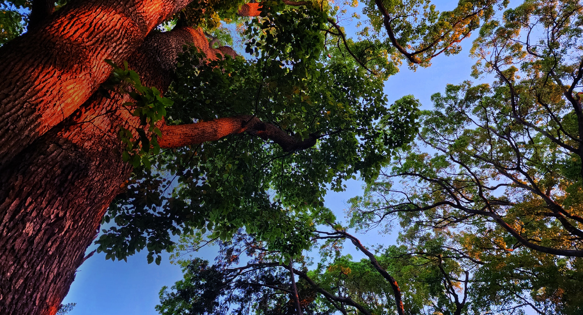 港の見える丘公園（約60m・徒歩1分／2023年5月撮影）