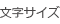 文字サイズ