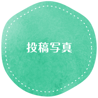 投稿写真