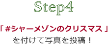 Step4 「#シャーメゾンのクリスマス」を付けて写真を投稿！