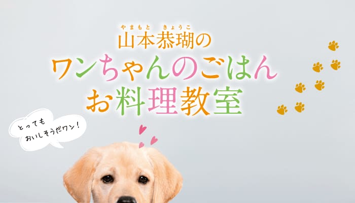 山本恭瑚の「ワンちゃんのごはんお料理教室」