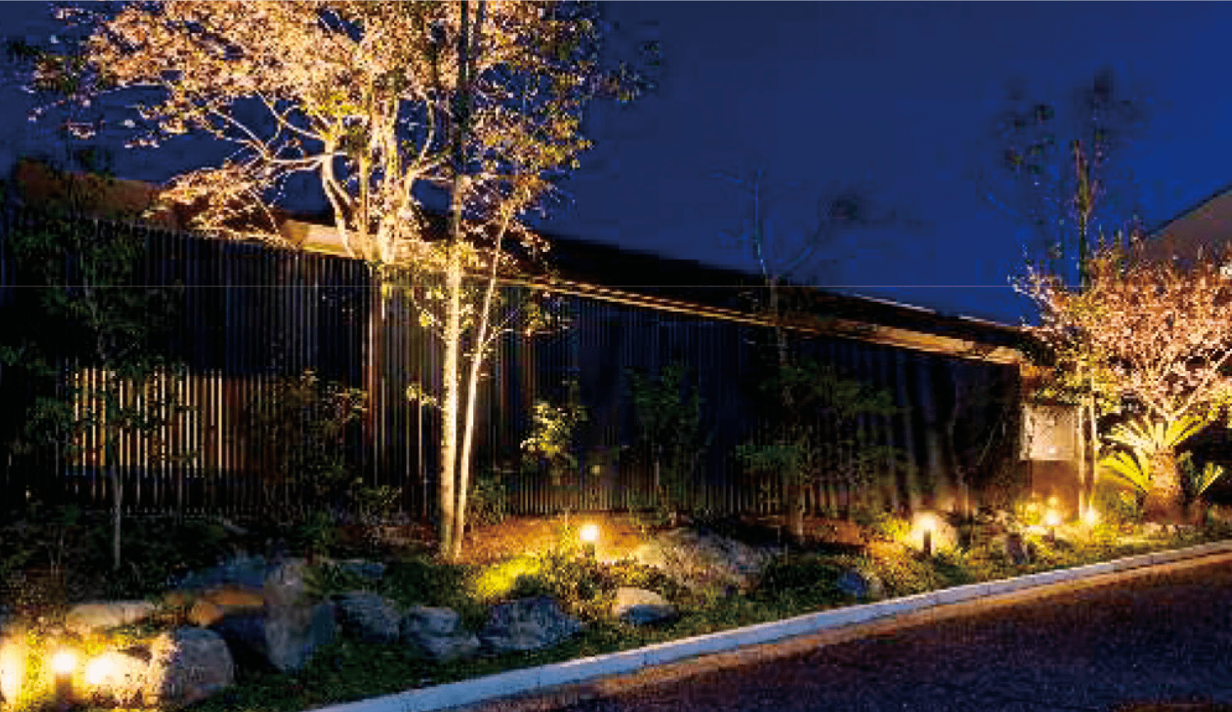 夜景に映える植栽