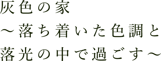 灰色の家～落ち着いた色調と落光の中で過ごす～
