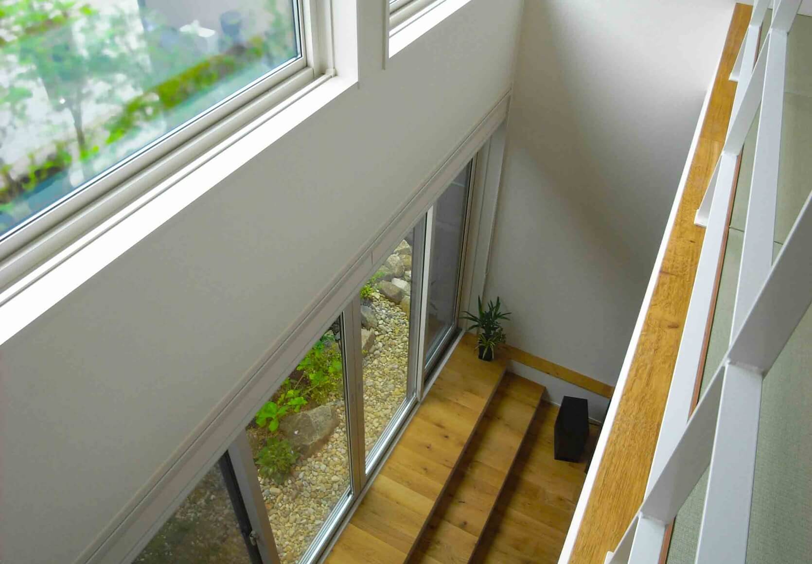 木のぬくもりに包まれ、光が降りそそぐ家